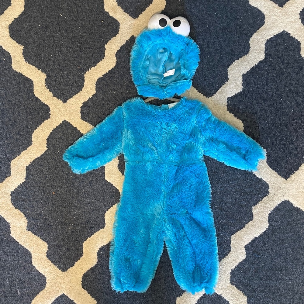 Cookie Monster Costume